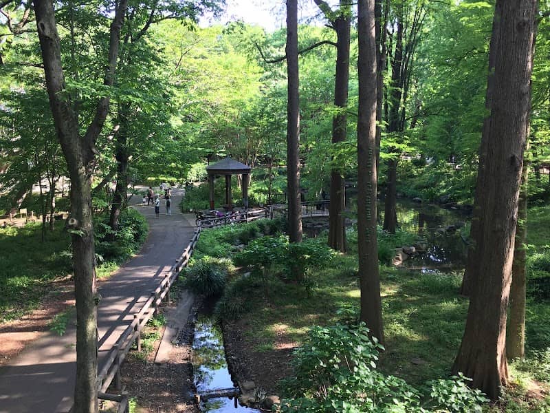 Rinshi-no-mori Park - Image 1