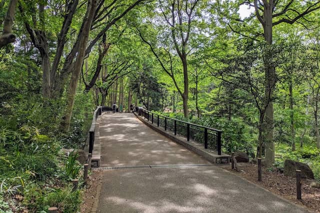 Rinshi-no-mori Park - Image 2