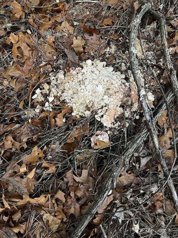 Montague Plains WMA Parking Area - Image 2