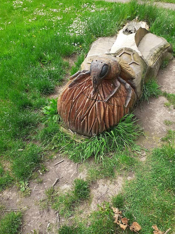 Midleton Lodge Park - Image 2