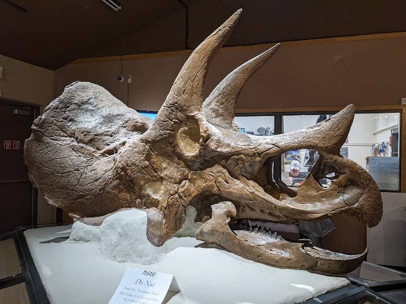 Dickinson Museum Center & Badlands Dinosaur Museum - Image 2