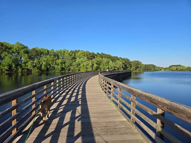 Lake Wilson Reservoir - Image 1