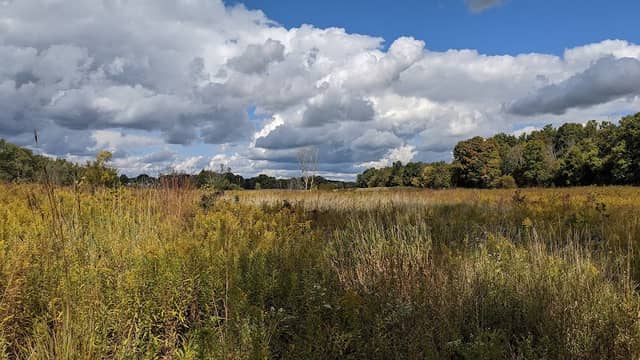 Carpenter Nature Preserve - Image 2