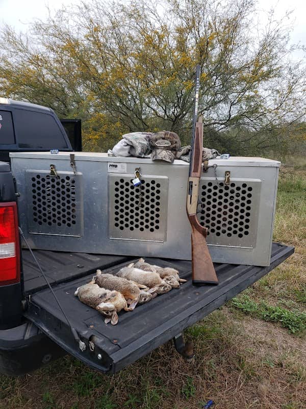 Las Palomas Wildlife Management Area - Longoria Unit - Image 1