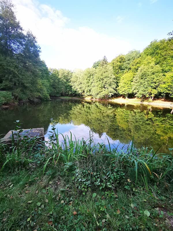 Stippbach Idyll - Image 1