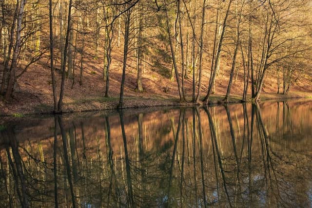 Stippbach Idyll - Image 2