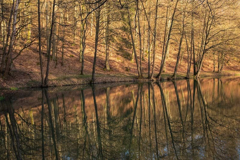 Stippbach Idyll - Image 2