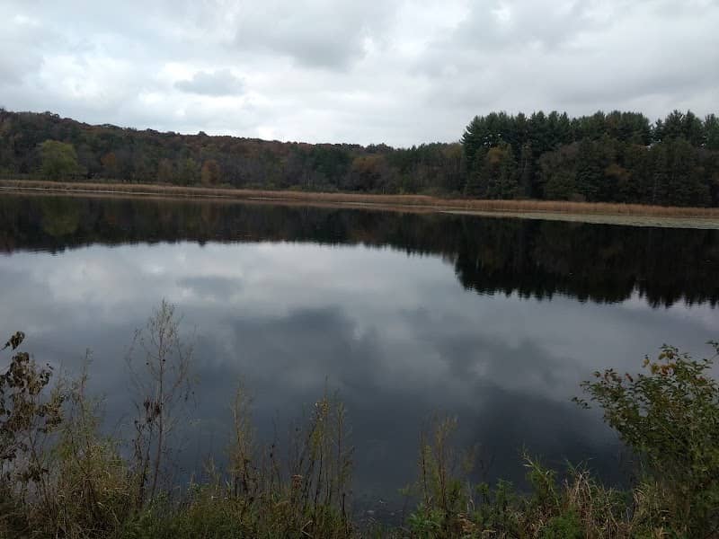 Cadiz Springs State Recreation Area - Image 1