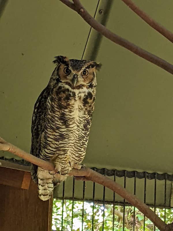 Bear Hollow Wildlife Trail - Image 1