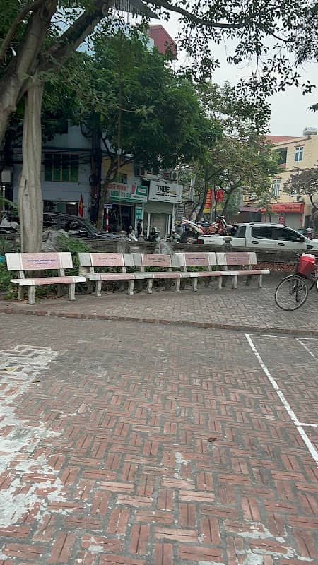 CÂY ĐA CỔ THỤ ĐẦU LÀNG - Image 1