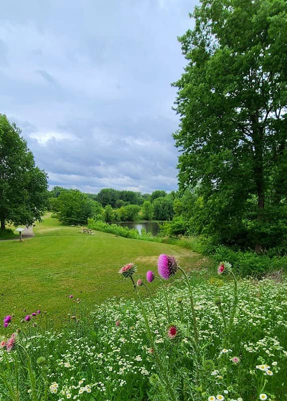 Riverwood Forest Preserve - Image 1