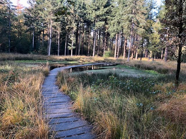 Hemrikkerscharren - Image 1