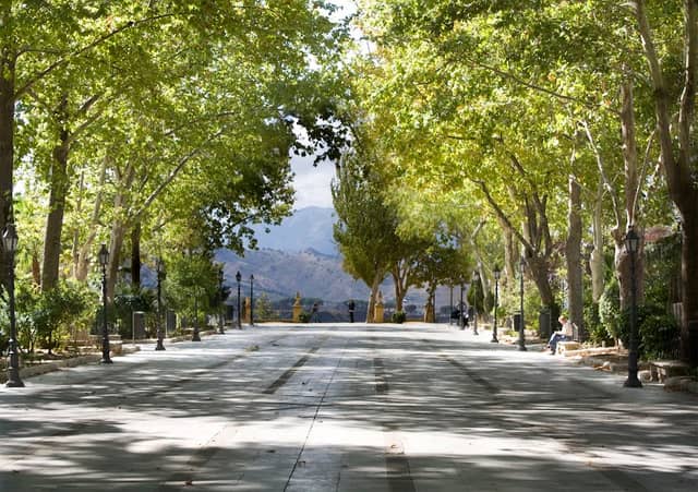 Alameda del Tajo - Image 1