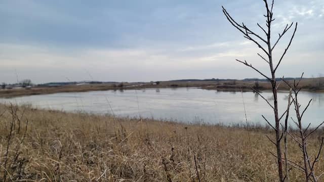 Olson Waterfowl Production Area-Clay County - Image 1
