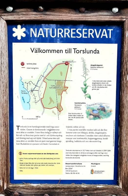 Torslunda naturreservat - Image 1