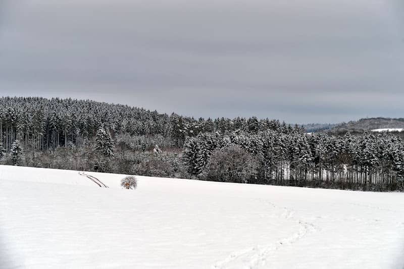 Eifelblick Duppacher Höhe - Image 1