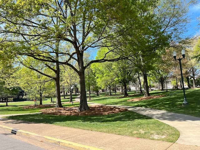 The Grove - Image 3