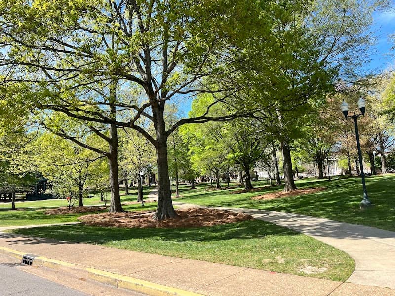 The Grove - Image 3