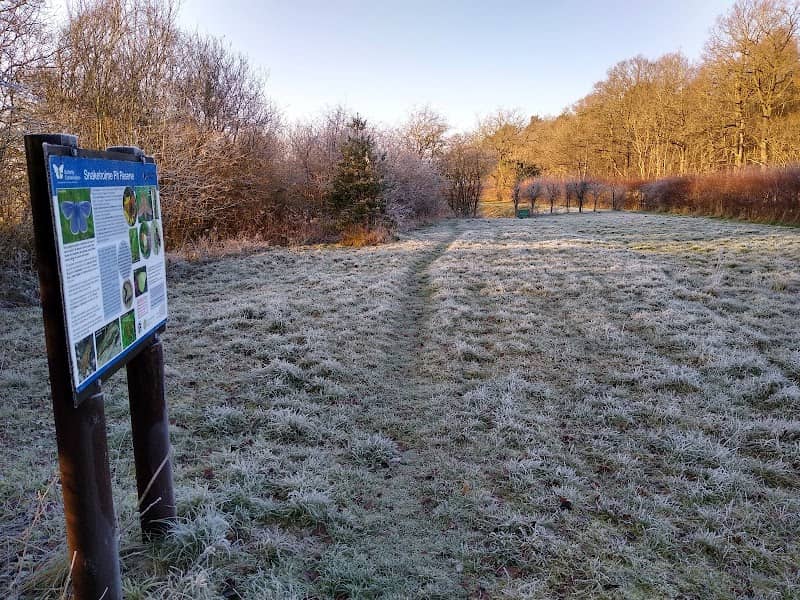 Snakeholme Pit Nature Reserve - Image 1