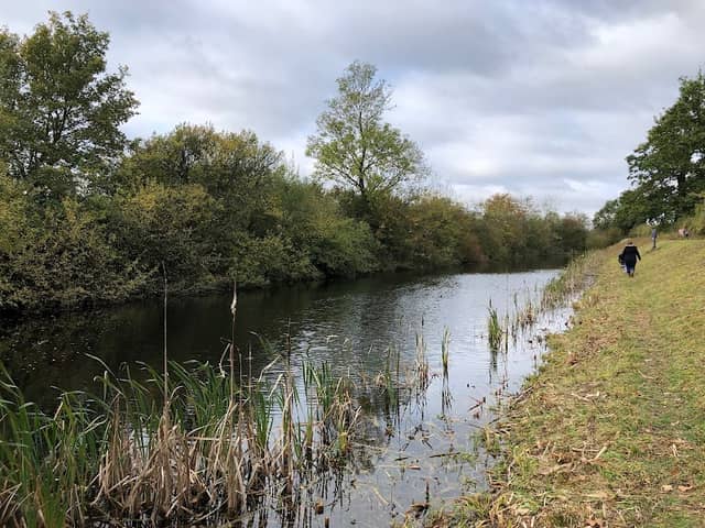 Snakeholme Pit Nature Reserve - Image 2