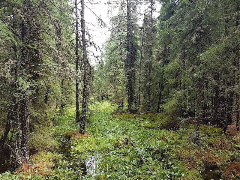 Sundew Conservation Land - Image 1