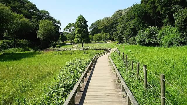 Shinbayashi Park - Image 1