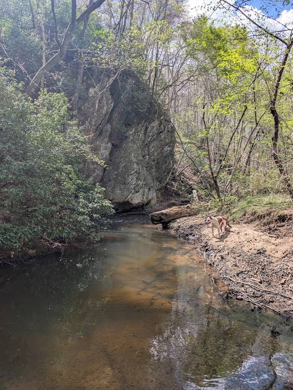 Paulding Forest Wma - Image 1