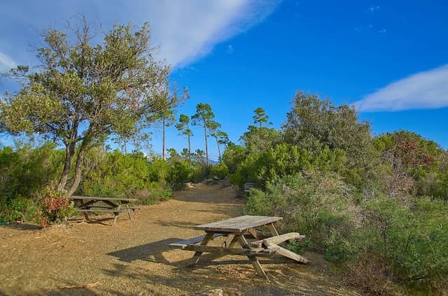 Monte Castello - Image 3
