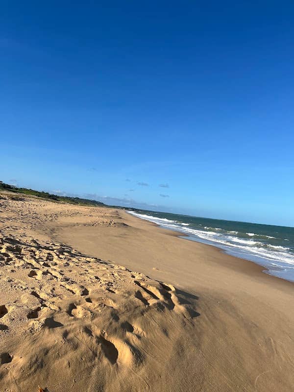 Santa Cruz Cabrália - Image 1