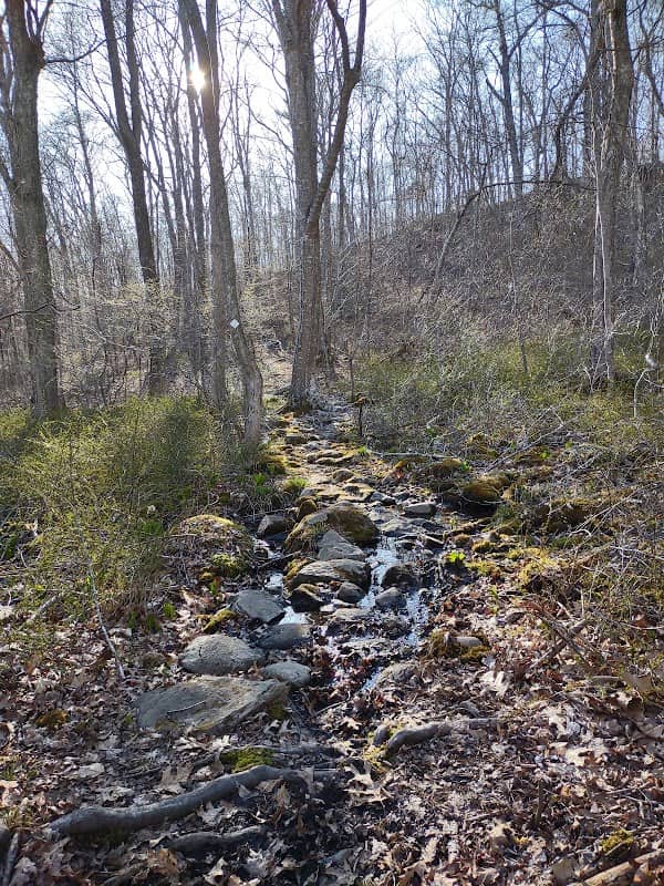 Grills Wildlife Sanctuary, Hopkinton - Image 2