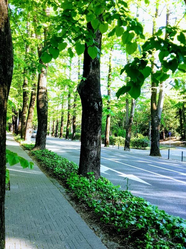 Parco Querini - Image 2