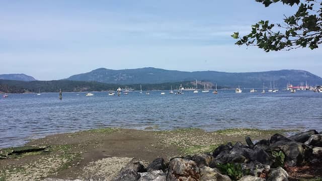 Cowichan Estuary - Image 1