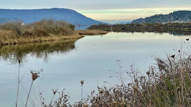 Cowichan Estuary - Image 2