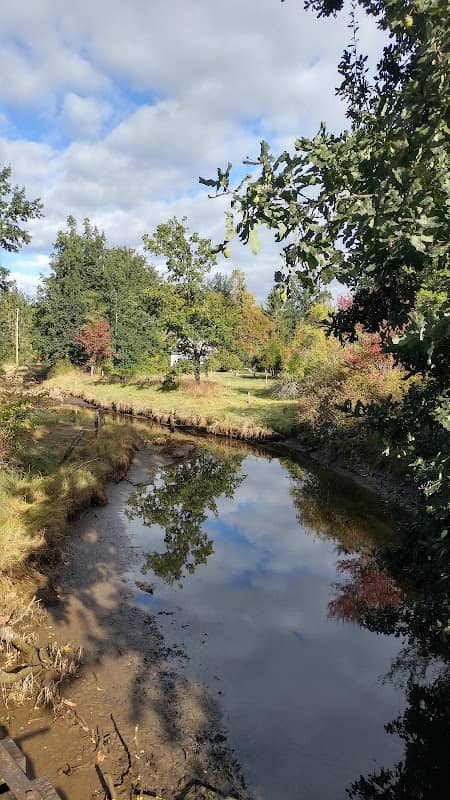 Cowichan Estuary - Image 3