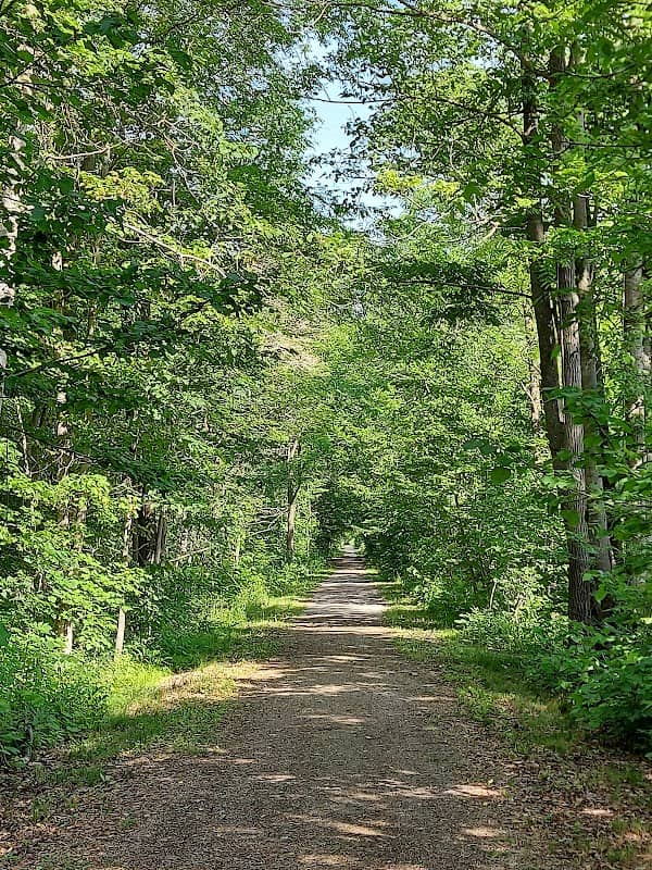 Gypsum Mine Tract Trailhead - Image 1