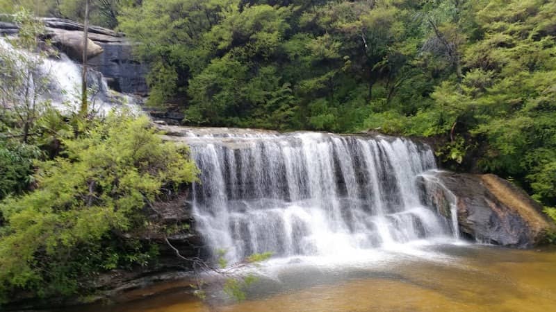 Darwins walk - Image 2