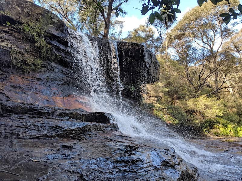 Darwins walk - Image 1