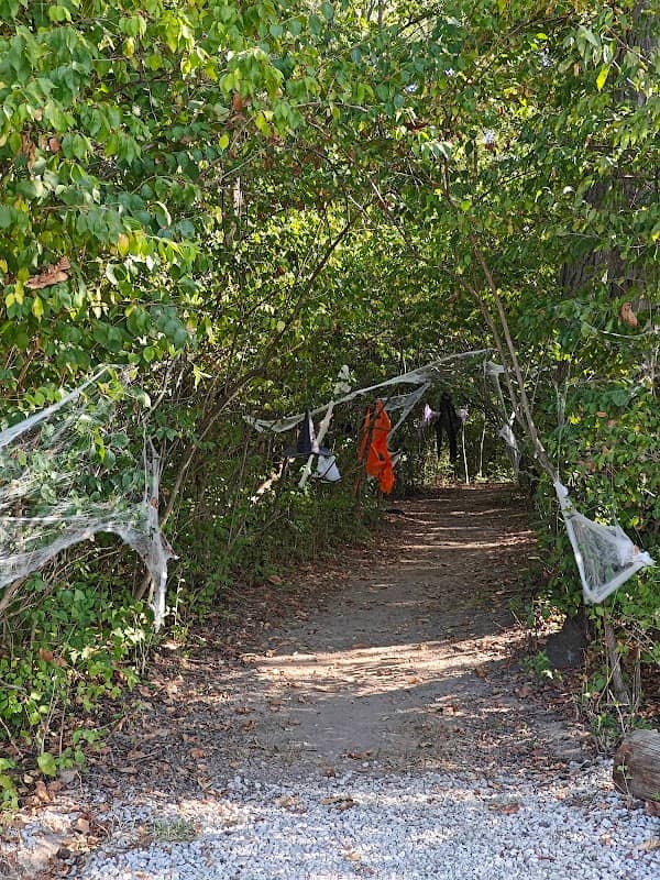 stanley park - Image 1