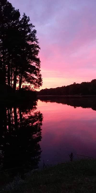 Holden Park - Image 2