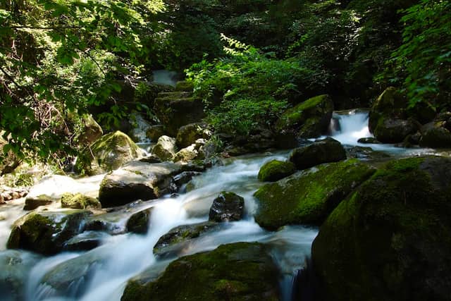 Hakusui Waterfall - Image 1