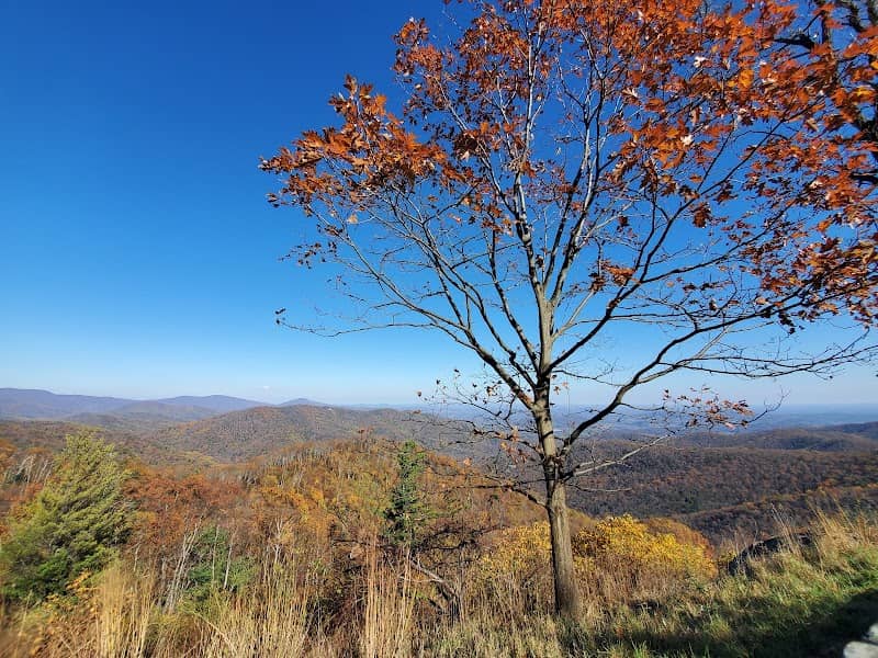 Buck Hollow Overlook - Image 2