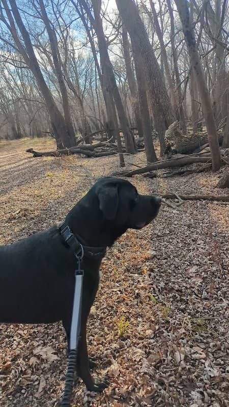 Winegar and Tobin Wildlife Area - Image 2