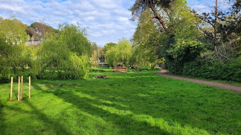 Coy Pond - Image 2
