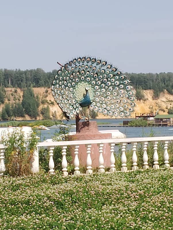 Павлин - Image 1