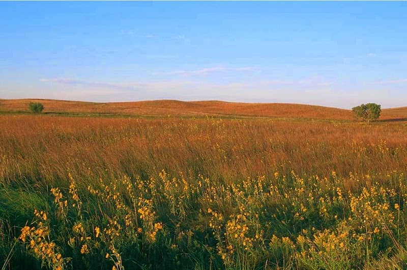 Mound Spring Prairie Scientific and Natural Area (SNA) - Image 2