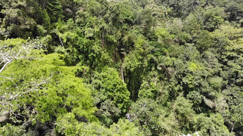 Jagasatru Waterfall - Image 1