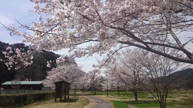 Shimozawahikitanoson Park - Image 1