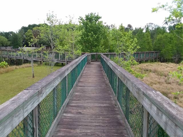 South Lake Howard Nature Park - Image 2