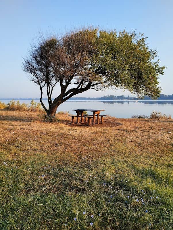 Panchina sul Lago di Fogliano - Image 1