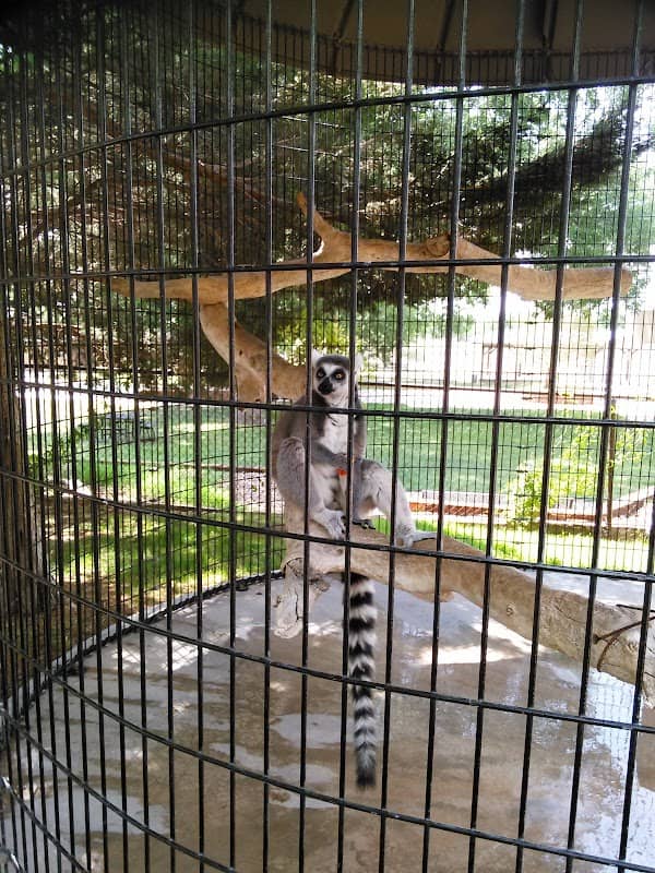 Spring River Zoo - Image 1
